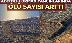 ABD’deki orman yangınlarında ölü sayısı 29’a yükseldi