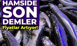 Hamside son demler, Fiyatlar Artıyor