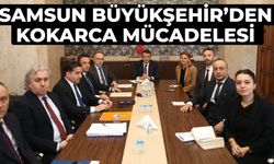 Samsun Büyükşehir’den Kokarca Mücadelesi