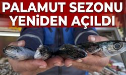 Palamut sezonu yeniden açıldı