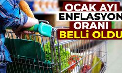 Ocak ayı enflasyon oranı belli oldu