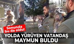 Sonunda bu da oldu! Yolda yürüyen vatandaş maymun buldu