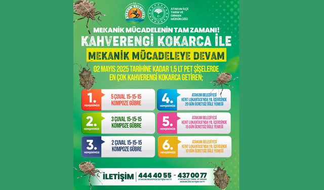 Atakum'da kahverengi kokarcayla mücadele son hız