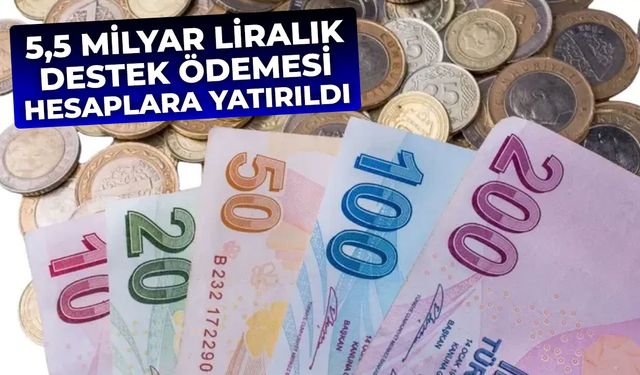 5,5 milyar liralık destek ödemesi hesaplara yatırıldı