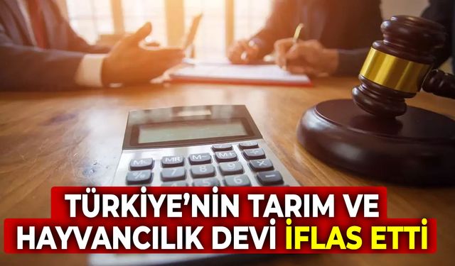 Türkiye'nin tarım ve hayvancılık devi iflas etti