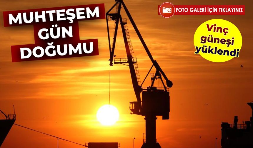 Muhteşem gün doğumu: Vinç güneşi yüklendi