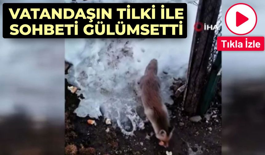 Vatandaşın tilki ile sohbeti gülümsetti